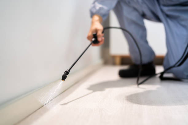 Certified termite inspector examining foundation in Beach